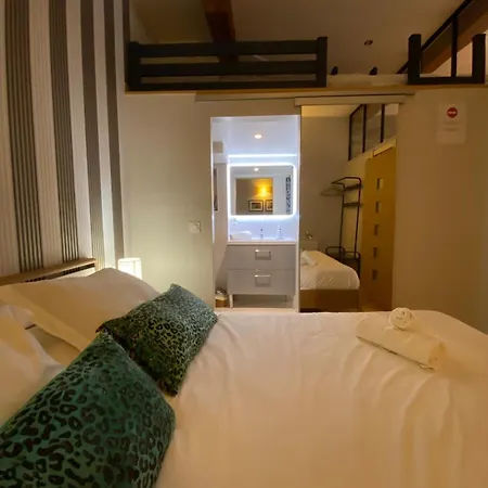 Apartman Carnot 29 - Hypercentre Annecy